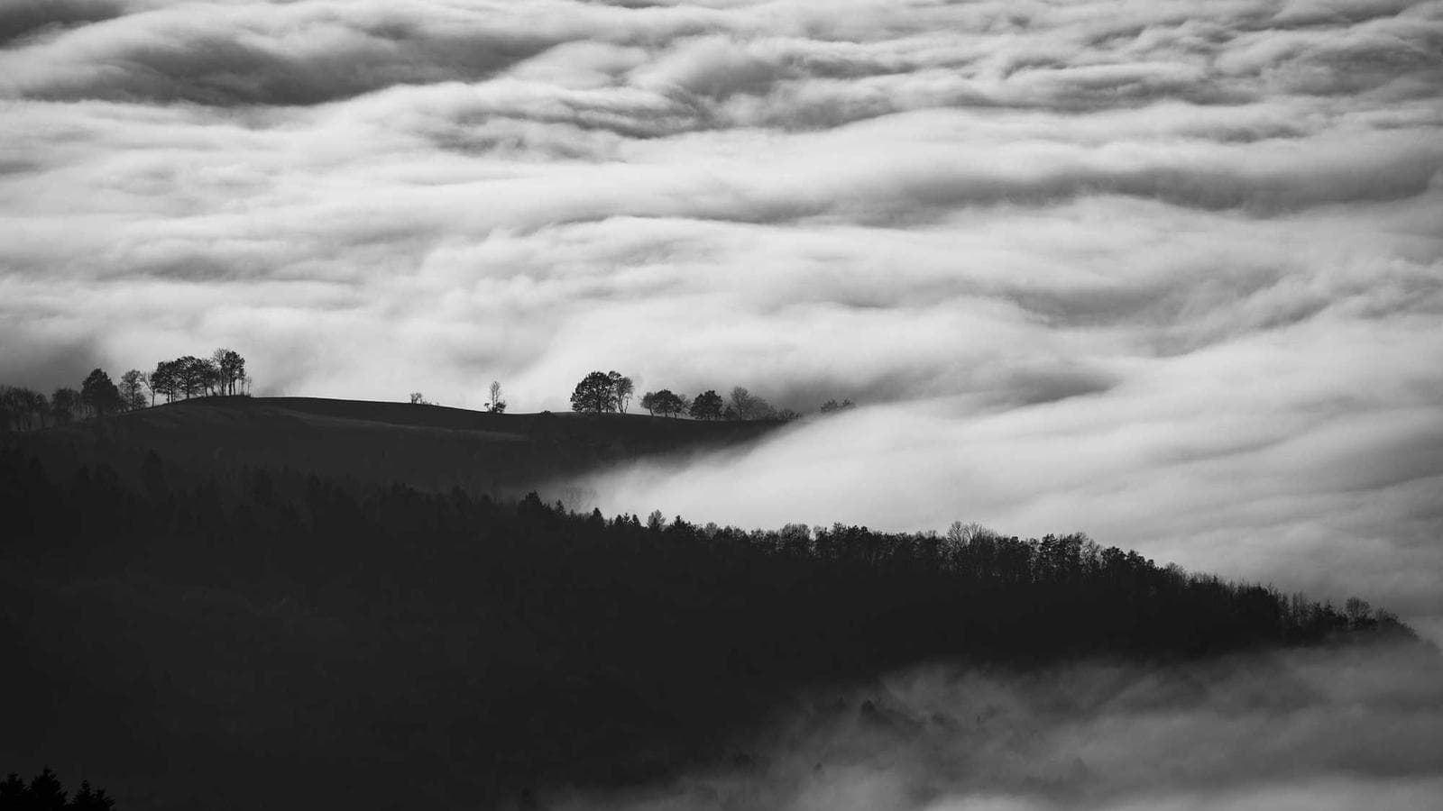 Contributing to Open Source: First Steps and Best Practices